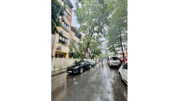 Phân Lô Cầu Giấy, ô tô tránh kinh doanh, 70m, 19 tỷ