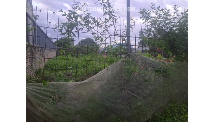 BÁN ĐẤT ngang 10m x 29m ( 271,5m2 thổ ), Sát Vành Đai 3 -Q9. TP. THỦ ĐỨC – SỔ HỒNG RIÊNG  Chỉ 42 triệu /1m2 - 11.8 TỶ