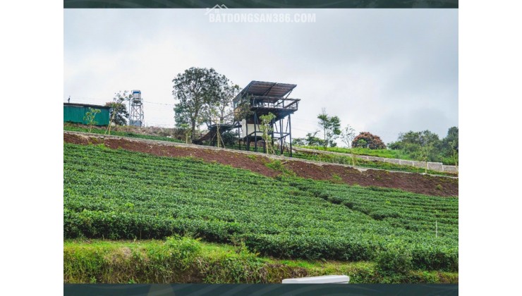 LÔ ĐẤT 102M² FULL THỔ CƯ – HẠ TẦNG HOÀN CHỈNH, TRUNG TÂM BẢO LỘC