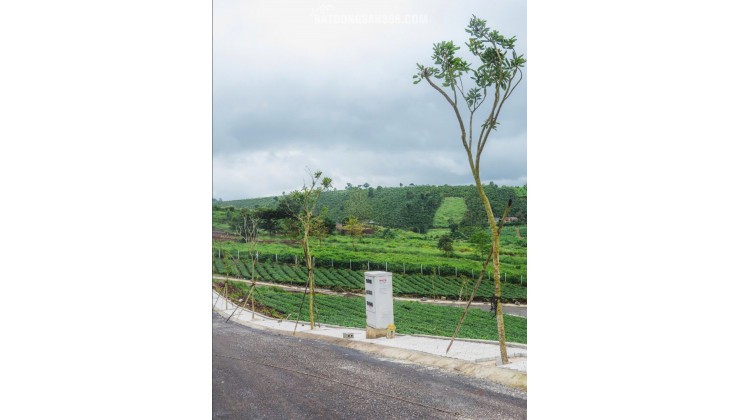 LÔ ĐẤT 102M² FULL THỔ CƯ – HẠ TẦNG HOÀN CHỈNH, TRUNG TÂM BẢO LỘC