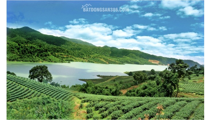 SUN VALLEY FARM – ĐIỂM ĐẾN SINH LỜI TƯƠNG LAI