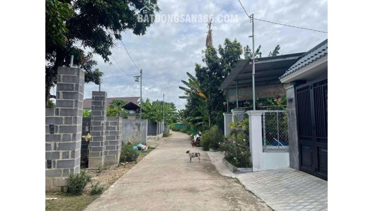 cần bán lô đất Diên an-Diên khánh- Nha Trang Dt:254m có thổ ngang 5m nở hậu 7,6m Đường bê tông 6m thông ra Đại Lộ Võ Nguyên Giap-Bà Đề -Đất phố- và