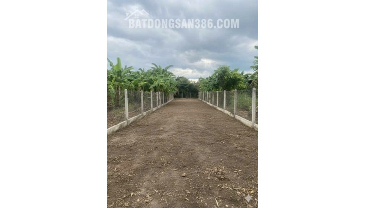 cần bán lô đất Diên an-Diên khánh- Nha Trang Dt:254m có thổ ngang 5m nở hậu 7,6m Đường bê tông 6m thông ra Đại Lộ Võ Nguyên Giap-Bà Đề -Đất phố- và