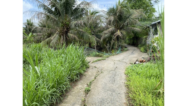 Đất nền vuông vức 285m2 tại Phú Tân, TP Bến Tre – giá rẻ bất ngờ!