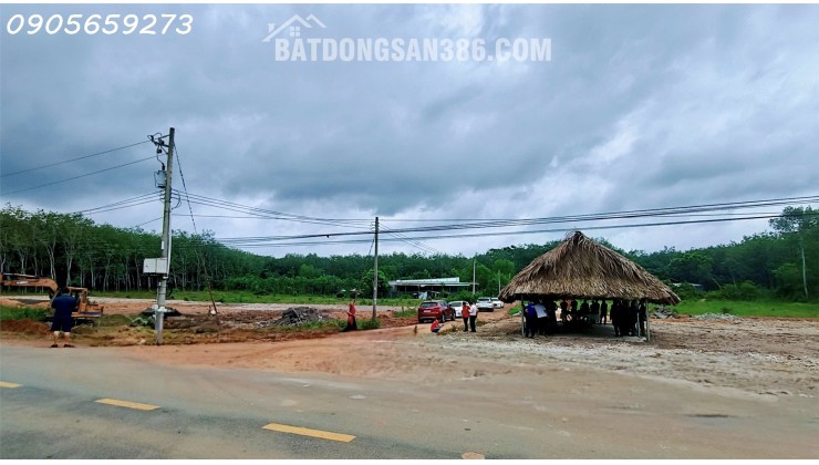 Cần bán gấp 650m2 (15x42) có 300m2 thổ cư tại DT750 - Long hòa DầuTiếng