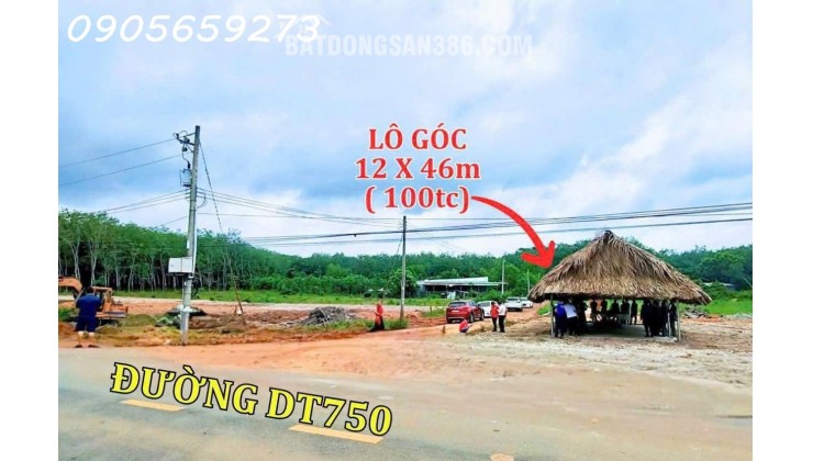 Cần bán gấp 650m2 (15x42) có 300m2 thổ cư tại DT750 - Long hòa DầuTiếng