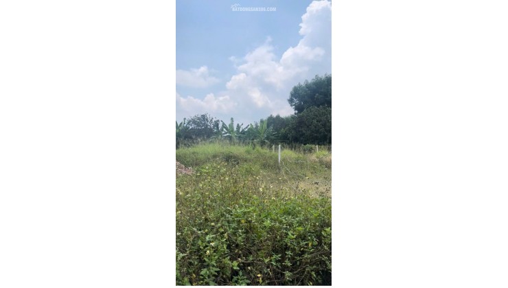 ĐẤT ĐẸP - ĐẦU TƯ SINH LỜI - Chính Chủ Cần Bán Lô Đất Bình Lợi, Vĩnh Cửu, Đồng Nai