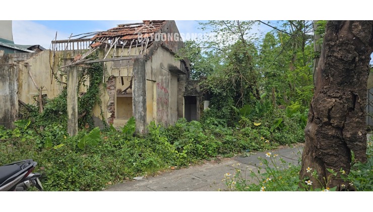 Bán đất đường Phú Mỹ, phường Biên Giang, quận Hà Đông (nay là phường Chương Mỹ), Hà Nội.