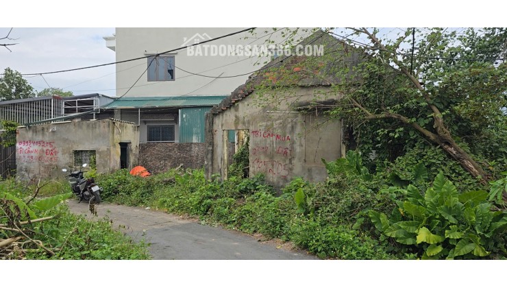 Bán đất đường Phú Mỹ, phường Biên Giang, quận Hà Đông (nay là phường Chương Mỹ), Hà Nội.