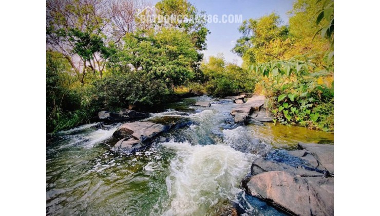 GIA CHỦ CẦN BÁN CĂN HOMESTAY BẢO LỘC - PHƯỜNG 1, Cách Đường Nguyễn Văn Cừ 200m