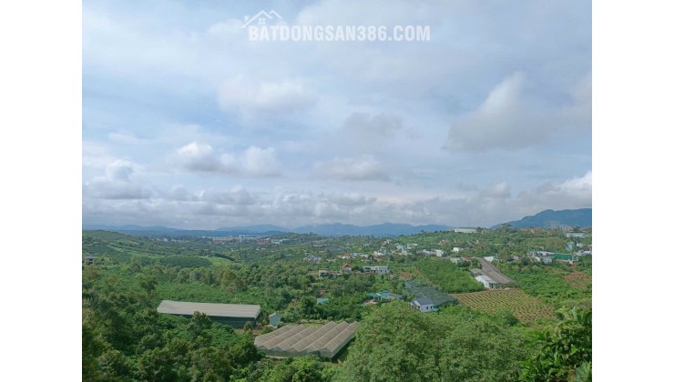 GIA CHỦ CẦN BÁN CĂN HOMESTAY BẢO LỘC - PHƯỜNG 1, Cách Đường Nguyễn Văn Cừ 200m