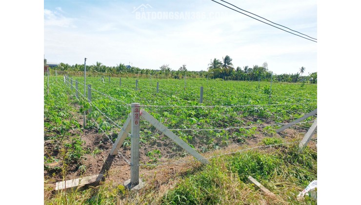 ĐẦU TƯ SINH LỜI - Chính Chủ Bán Đất Vị Trí Đắc Địa Tại Phường 2 Thành Phố Tây Ninh