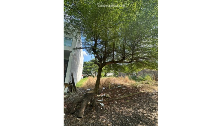 Cần bán đất 7x25m tại Rạch Kiến Long An – tiện ích đầy đủ