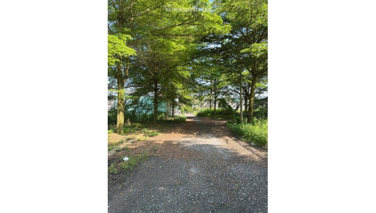 Cần bán đất 7x25m tại Rạch Kiến Long An – tiện ích đầy đủ