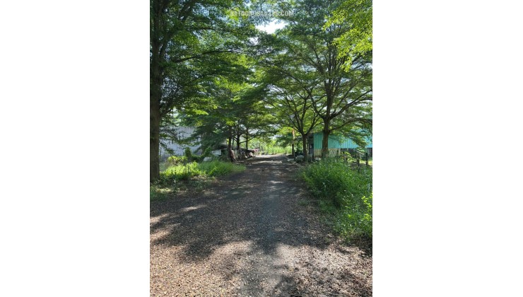 Cần bán đất 7x25m tại Rạch Kiến Long An – tiện ích đầy đủ