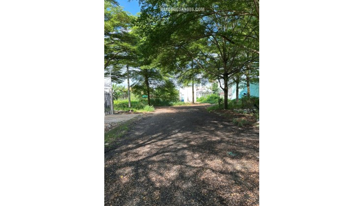 Cần bán đất 7x25m tại Rạch Kiến Long An – tiện ích đầy đủ