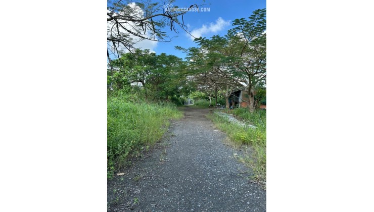 Cần bán đất 7x25m tại Rạch Kiến Long An – tiện ích đầy đủ