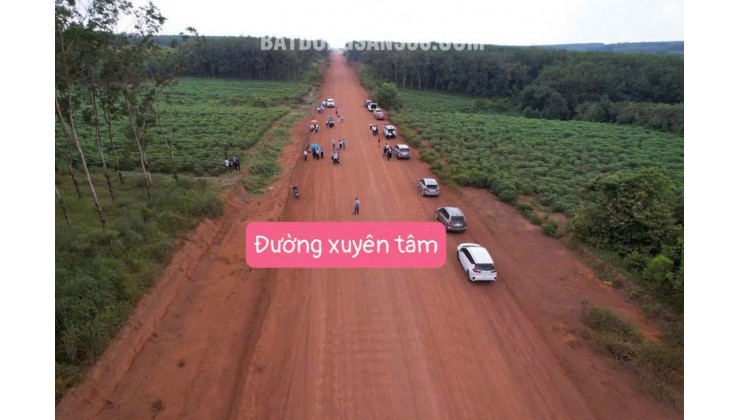 ĐẤT CHÍNH CHỦ - GIÁ TỐT Mặt Đường Xuyên Tâm, Xã Tân Tiến, Huyện Đồng Phú - Bình Phước