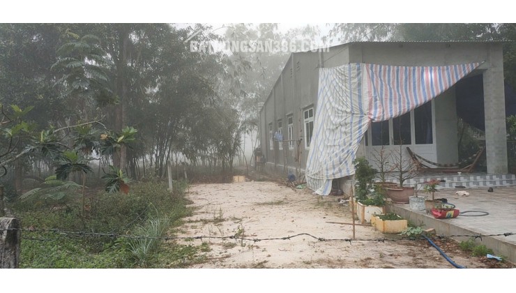 Đất Tây Ninh giá tốt