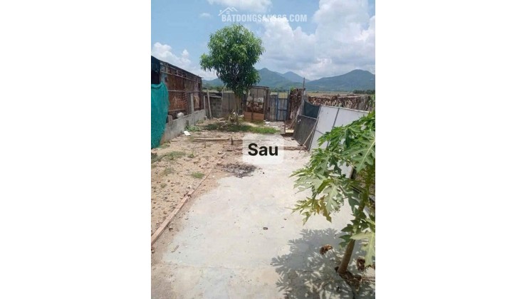 GIÁ TỐT - CHÍNH CHỦ Cần Bán Nhanh Lô Đất  Vị Trí Tại Diên khánh, Tỉnh Khánh Hòa