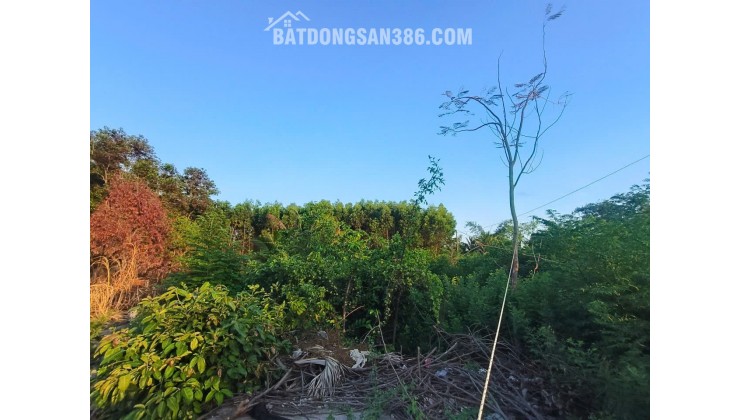 Chính chủ gửi bán đất ngay Mỹ Thuận-Long Mỹ-Bà Rịa (Phước Hải Long Đất mới,gần trường cấp 3 Dương Bạch Mai- Bà Rịa) -0909808615