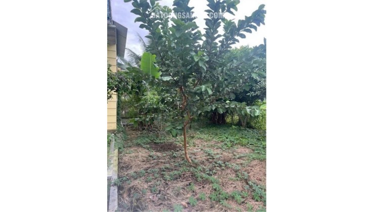 VỊ TRÍ ĐẸP - Chính Chủ Bán Gấp Nhà Vườn Tại Diên Lâm, Diên Khánh, Khánh Hòa