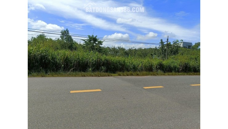 Siêu Lô Đất Mặt Tiền - Đầu tư là sinh lời - Xã Tân Định, Bắc Tân Uyên, Bình Dương