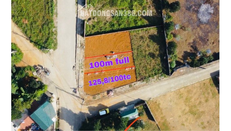 DUY NHẤT 2 LÔ F0 – GIÁ RẺ NHẤT THỊ TRƯỜNG