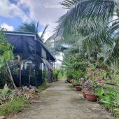 Đất nền vuông vức 285m2 tại Phú Tân, TP Bến Tre – giá rẻ bất ngờ!