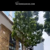 BÁN ĐẤT, PHÂN LÔ, ĐẤU GIÁ, TỨ HIỆP- THANH TRÌ, 84 M2, MẶT TIỀN 6 M, GIÁ 26 TỶ.