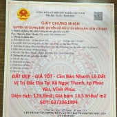 ĐẤT ĐẸP - GIÁ TỐT - Cần Bán Nhanh Lô Đất Vị Trí Đắc Địa Tại Xã Ngọc Thanh, tp Phúc Yên, Vĩnh Phúc