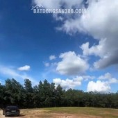 ĐẤT ĐẸP - GIÁ ĐẦU TƯ -CHÍNH CHỦ CẦN BÁN tại xã Minh Đức, Hớn Quảng , Bình Phước