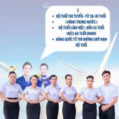 THÔNG BÁO TUYỂN DỤNG NHÂN VIÊN CHĂM SÓC KHÁCH HÀNG TẠI Việt Nam Airlines Hà Nội