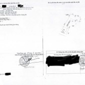 CHÍNH CHỦ CẦN BÁN LÔ ĐẤT ĐẸP – GIÁ ĐẦU TƯ Tại Xã An Tịnh, Huyện Trảng Bàng, Tây Ninh