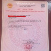 ĐẤT VƯỜN CHÍNH CHỦ - LÔ GÓC 2 MẶT TIỀN Tại Thôn 3, Xã Hợp Tiến ( Huyện Triệu Sơn Cũ ), Thanh Hóa