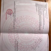 GIÁ TỐT - CHÍNH CHỦ Cần Bán Nhanh Lô Đất  Vị Trí Tại Diên khánh, Tỉnh Khánh Hòa