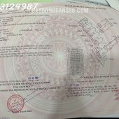 Chính chủ cần bán gấp lô đất và tài sản trên đất - Pháp lý hoàn chỉnh - Bình Trị Đông B, Bình Tân