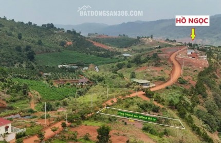 LÔ ĐẤT 540M² (200M² THỔ CƯ) – MẶT TIỀN ĐƯỜNG CHÍNH HỒ NGỌC, BẢO LỘC