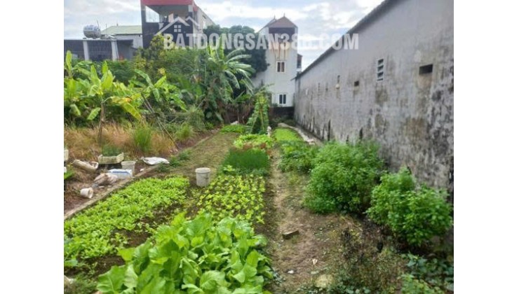 BÁN 115M2 FULL THỔ CƯ Ở XÃ TIỀN PHONG - MÊ LINH - HÀ NỘI