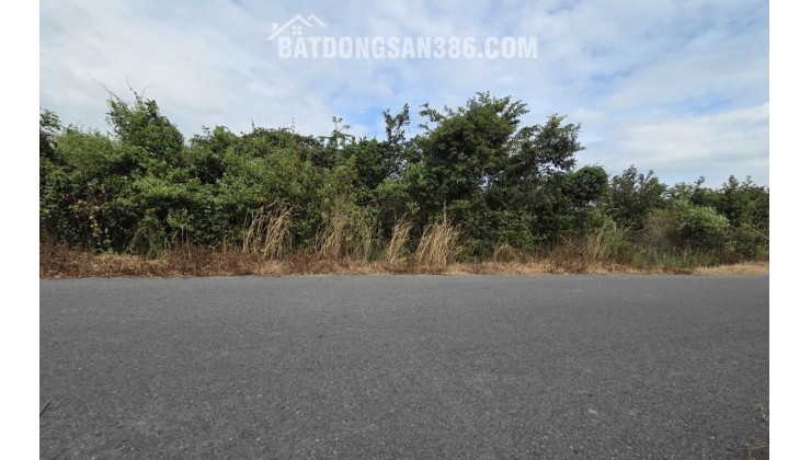 BÁN 1732 M² ĐẤT ĐƯỜNG PHẠM VĂN CỘI CỦ CHI. GIÁ 12TR/M2. LH:0906735462