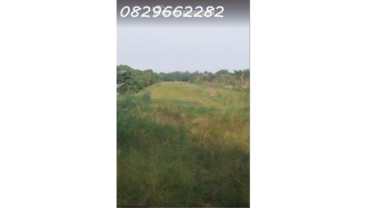 Bán Đất Nông Nghiệp 4678m2 Sổ Hồng MT 5m Đường Tám Sáng, Tân Bình, Châu Thành, Đồng Tháp. Giá 1.5 Tỷ.