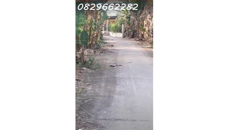 Bán Đất Nông Nghiệp 4678m2 Sổ Hồng MT 5m Đường Tám Sáng, Tân Bình, Châu Thành, Đồng Tháp. Giá 1.5 Tỷ.