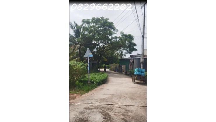 Đất Mặt Tiền 100m2 (5x20) Ngay Làng Hoa Sa Đéc- Sổ Hồng- Chỉ 600 Triệu.