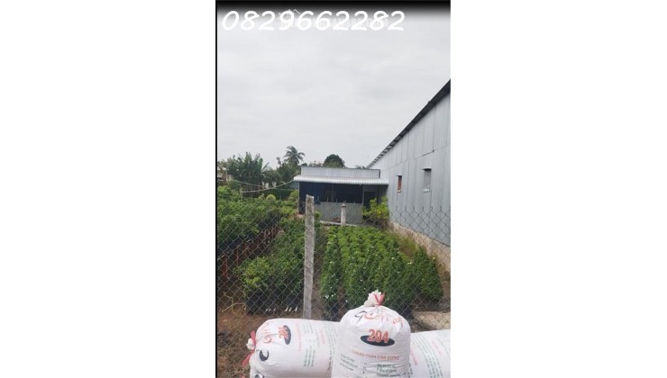 Đất Mặt Tiền 100m2 (5x20) Ngay Làng Hoa Sa Đéc- Sổ Hồng- Chỉ 600 Triệu.