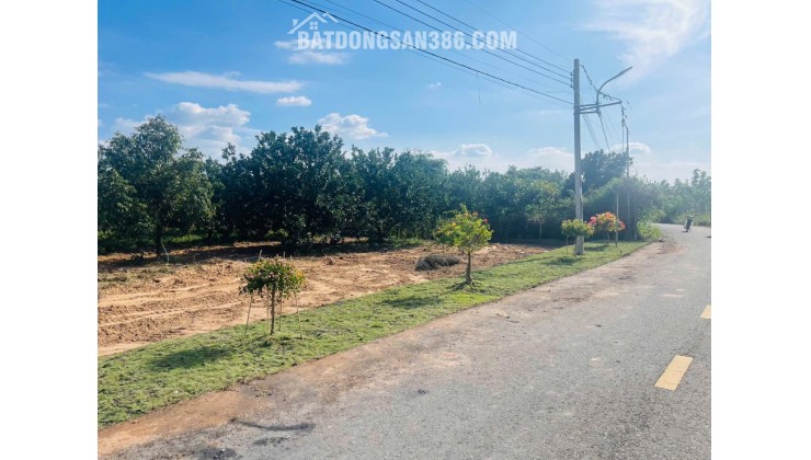  BÁN VƯỜN BƯỞI – TẶNG KÈM ĐẤT THỔ CƯ, GIÁ CHỈ TỪ 300 TRIỆU SỞ HỮU NGAY 