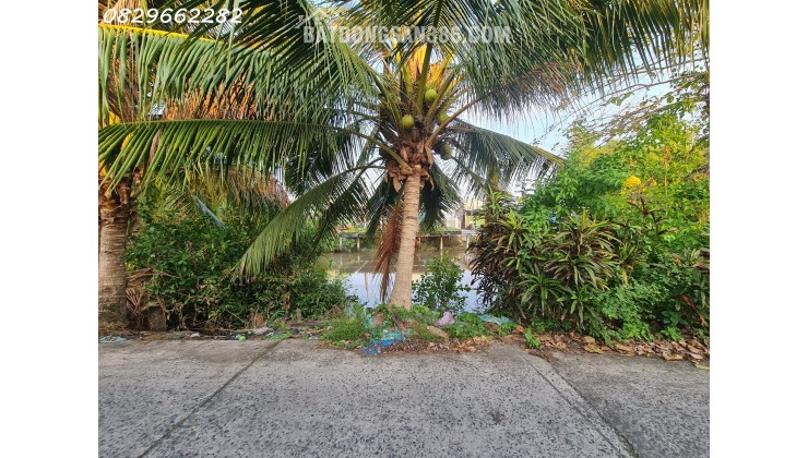 Bán Đất Thổ Cư Sổ Hồng 156m² đường Cai Dao, Tân Quy Đông, Sa Đéc, ĐTháp. Giá 1.35 Tỷ.