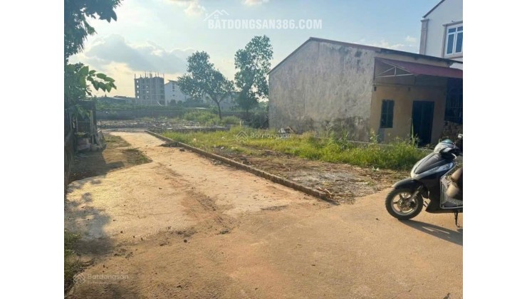 Bán đất Cổ Đông Sơn Tây gần FPT, ĐHQG , khu CNC Hòa Lạc