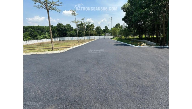 Bán nhanh lô đất Cổ Đông 95.1m², MT 4.4m, sát QL21A mở rộng, đồng trạng cổ đông