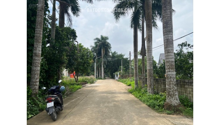 Cắt lỗ gấp: Chính chủ cần bán gấp lô đường Hàng Cau đồng trạng giá ngã cây liên hệ 0931xx