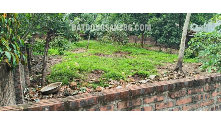 Chính chủ bán 300m2 mặt đường Đồng Trạng, đối diện trường tiểu học Cổ Đông, kinh doanh đẹp 46tr/m2